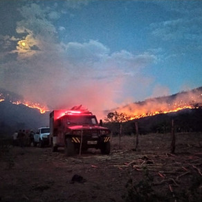 Após seis dias, bombeiros controlam incêndio florestal no interior do RN