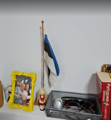flag 2.PNG