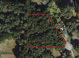 IMG_8627.jpg
