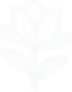 Magnolia Medicine Logo Icon light.png