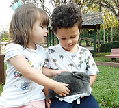 Captura_de_Tela_2020-02-27_às_20.29.40.