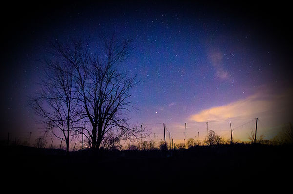 hop yard night sky_edited_edited.jpg