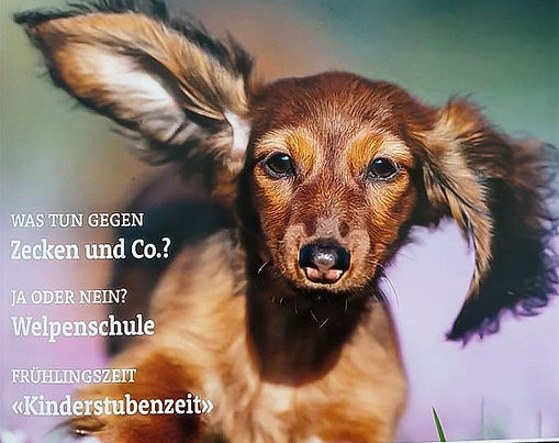 Schweizer Hundemagazin (CH)