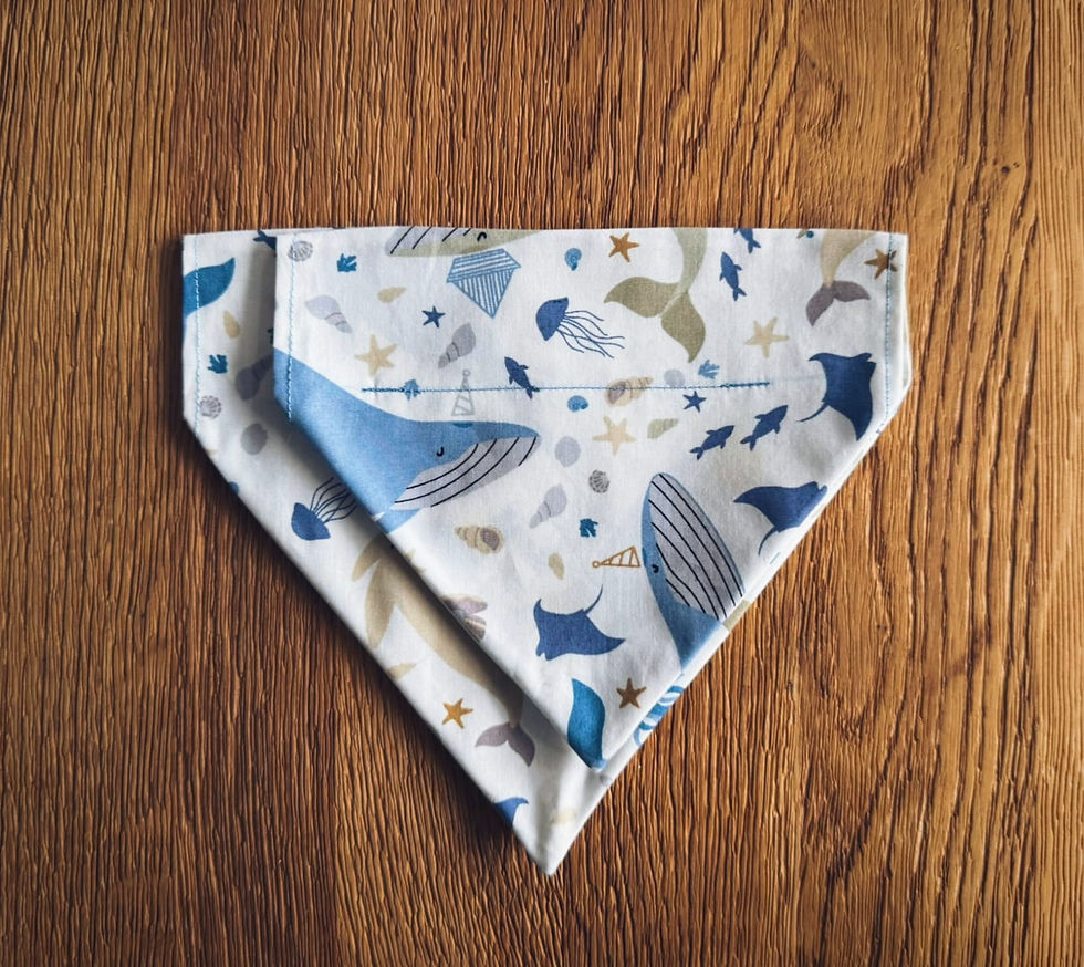 Thumbnail: Collar Bandana - Under The Sea