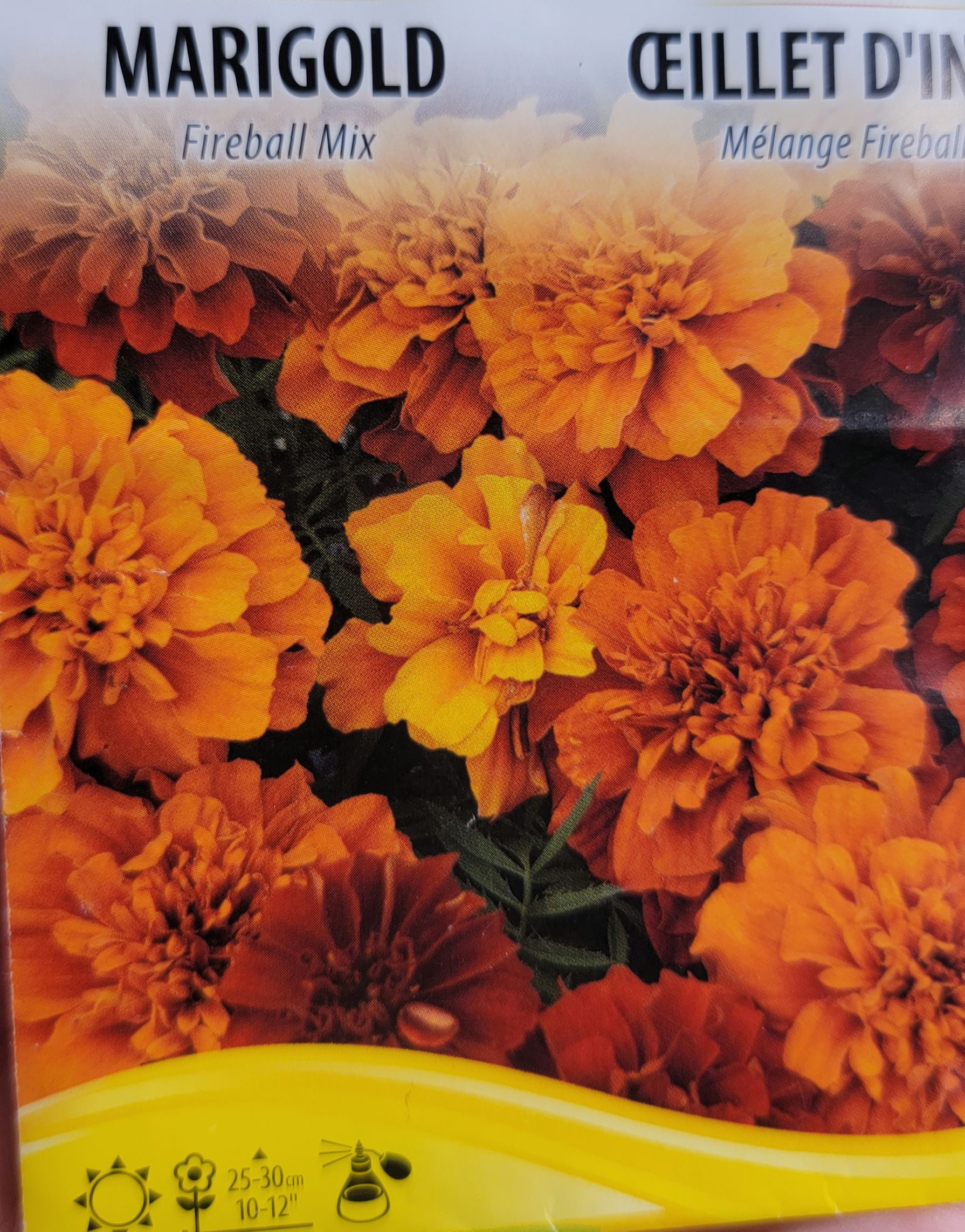Fireball Mix Marigold