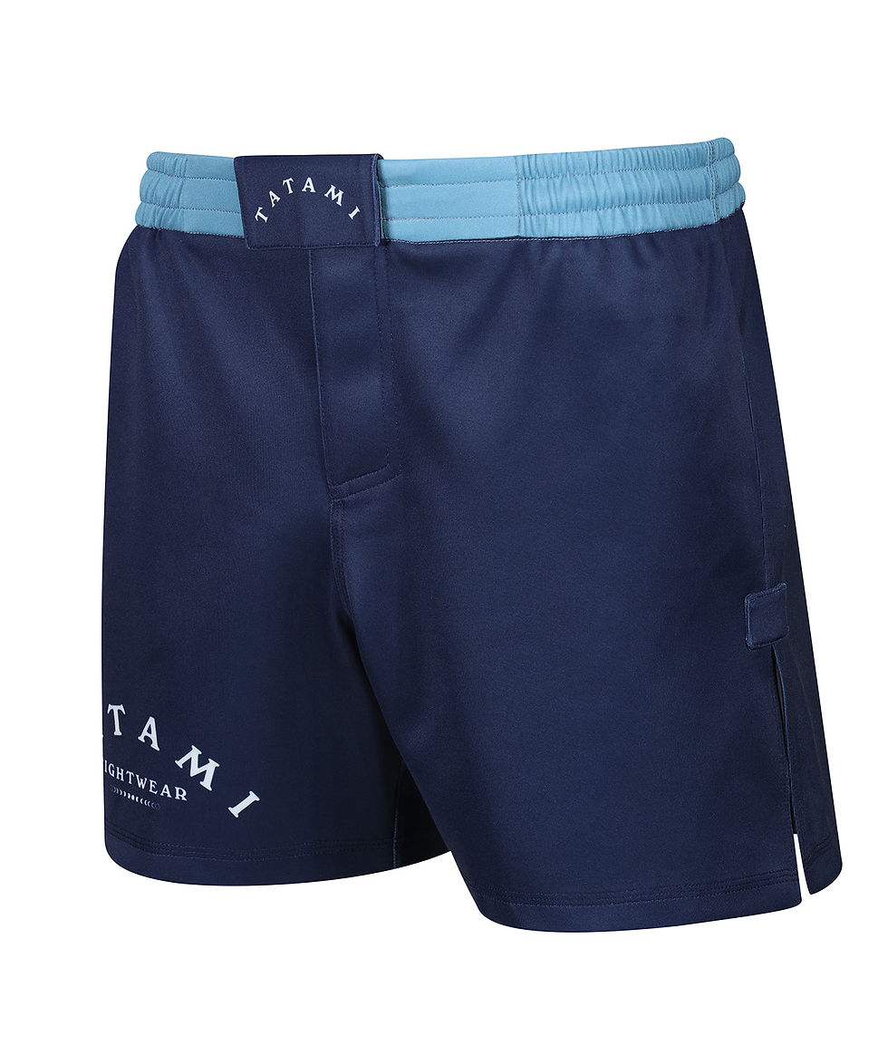 Thumbnail: Eclipse High Cut Shorts