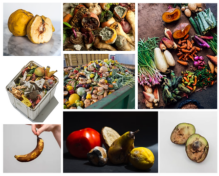 collage.png