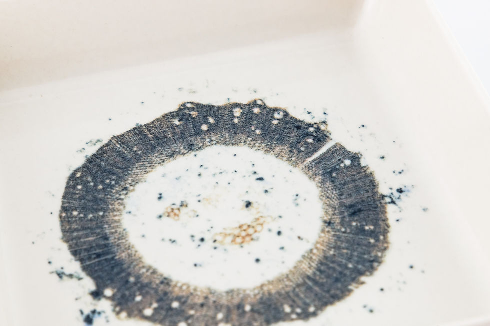 Миниатюра: Плоская тарелка 27см