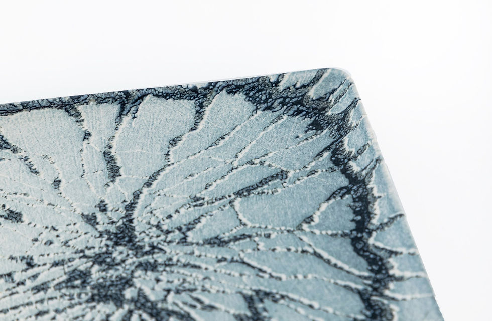 Миниатюра: Прямоугольная тарелка 27*20см