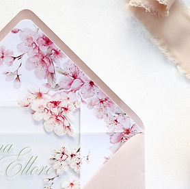 12072024 (1)_edited.jpg