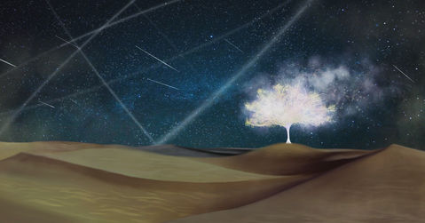 Generations (The Tree of Life and Manner of Creation)