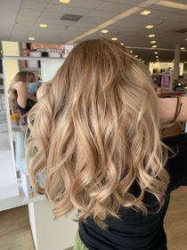 Highlights IMG_9545.jpg