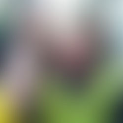 Wander Challenge 2020