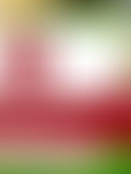 Junior Golf Clinics 2026 - June 