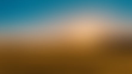 Wide Open Agriculture Limited – transforming Australian Agriculture through regenerative farming.