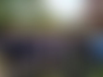 Rencontre des MPH sur le parcours de Poitiers Châlons