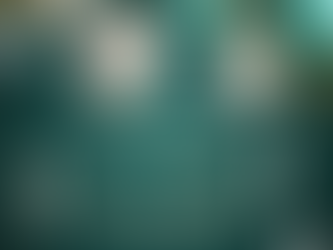 CR réunion de bureau AS et MPH.