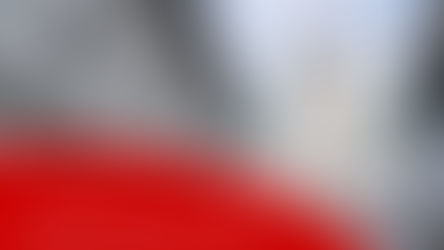 Legislaturplan 2025-2029