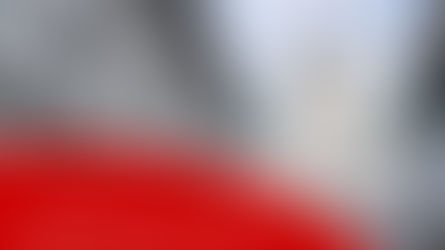 Legislaturplan 2025-2029