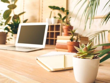 HR as a Catalyst for Change: Navigating Transformation in the Modern Workplace