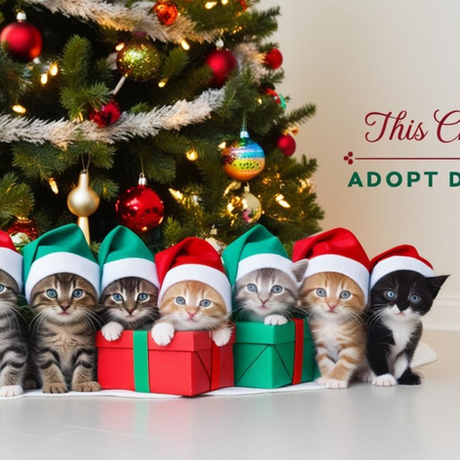 This Christmas: Adopt Don't Shop