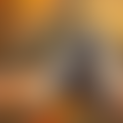 Indoor Autumn Activities for Your Furry Friend