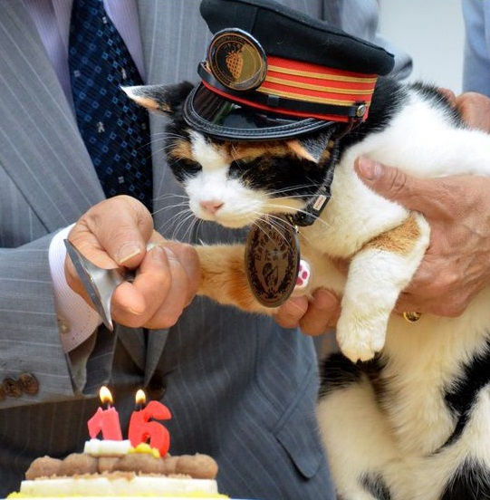 Celebrating TAMA'S 16th Birthday Image Credit: Takobou, CC BY-SA 3.0, via Wikimedia Commons