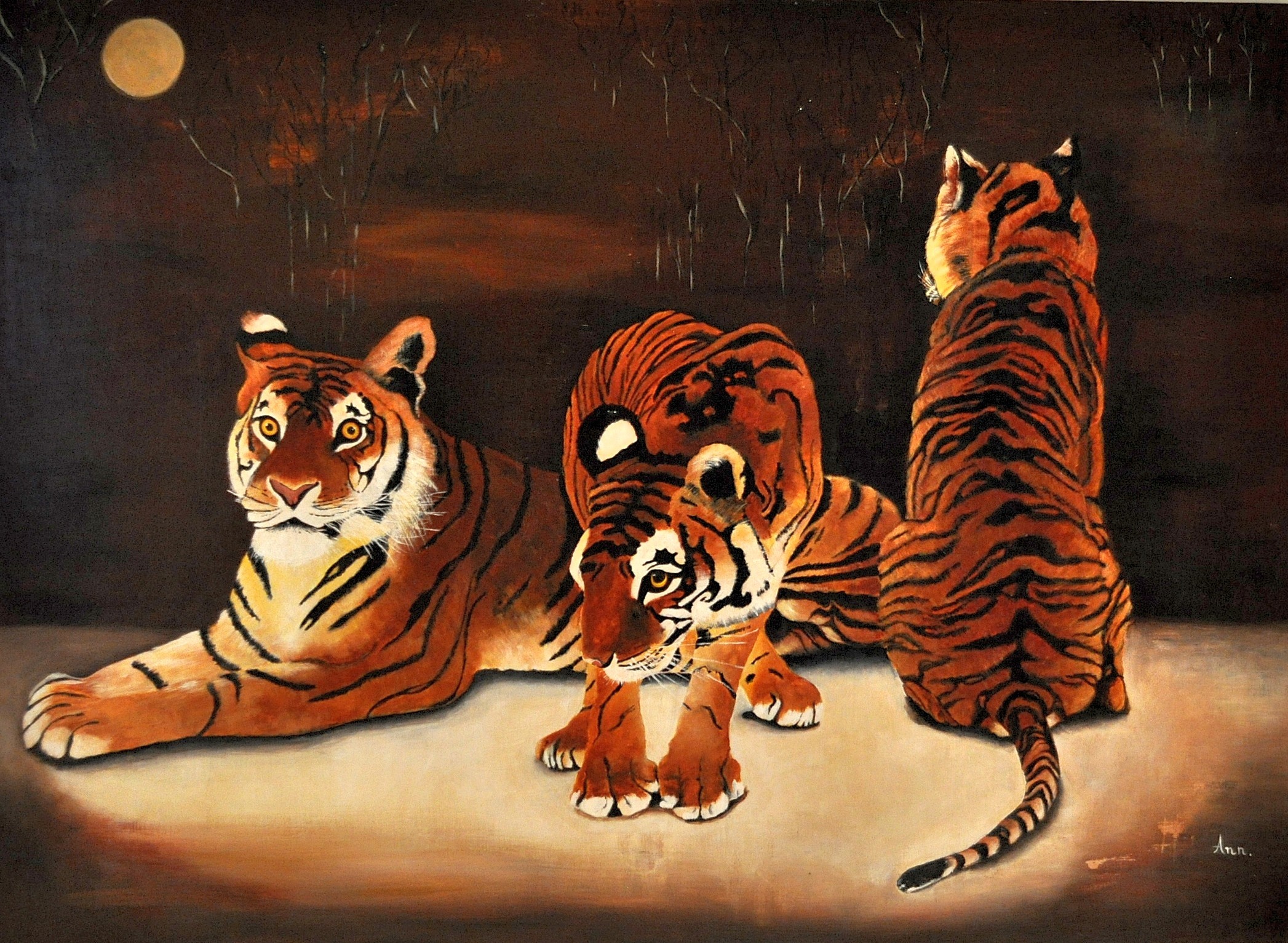 Tiger at night
