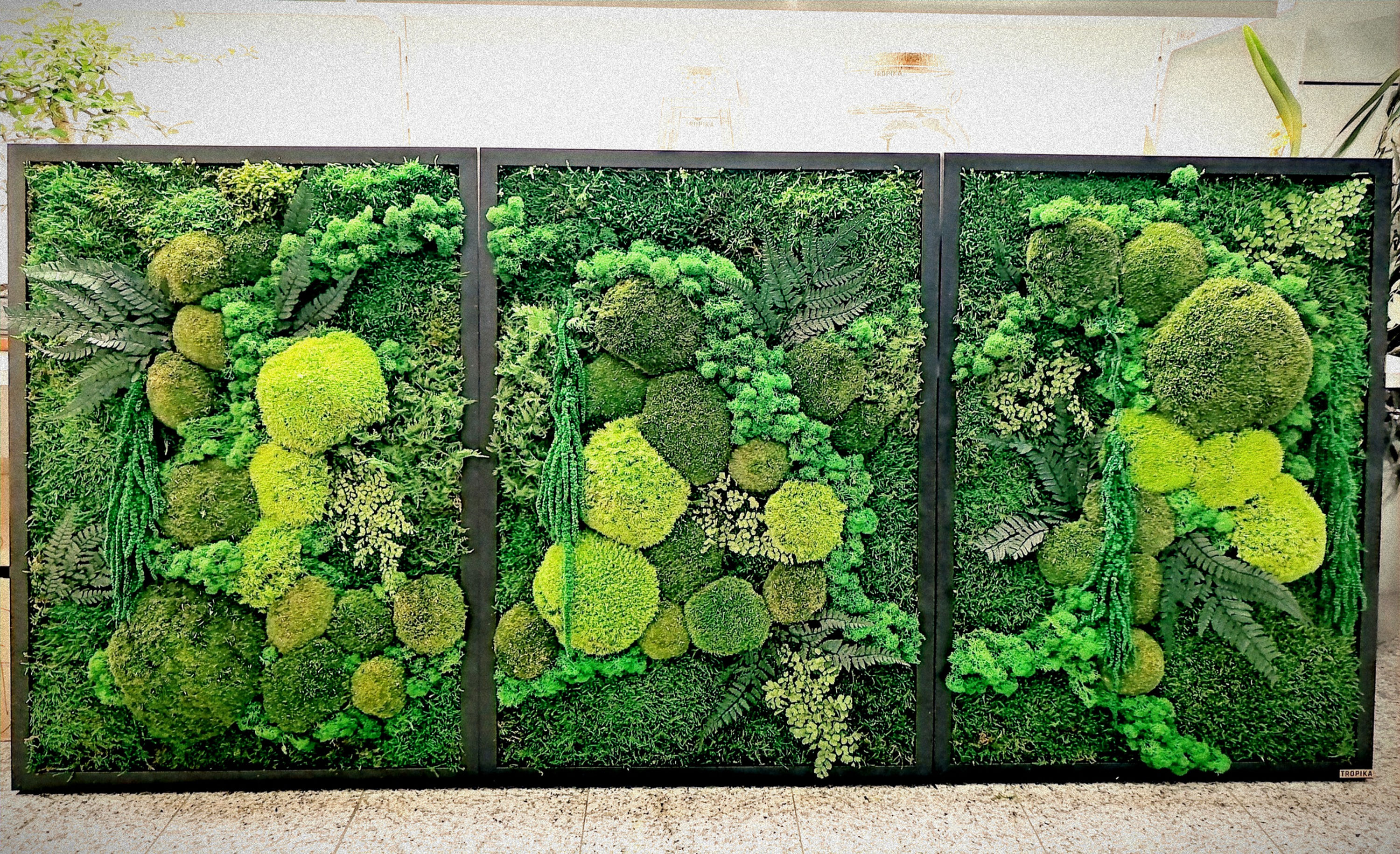 Šumske slike u standardnim okvirima