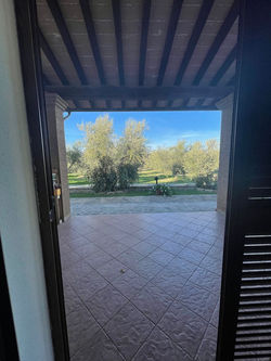 WhatsApp Image 2021-09-23 at 17.16.40.jpeg