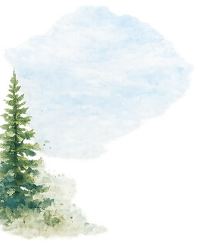 evergreen tree accent