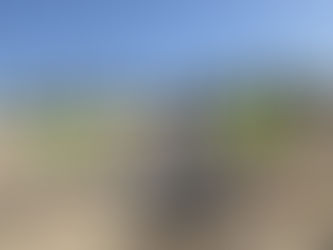 Citizen Science - Microplastics 