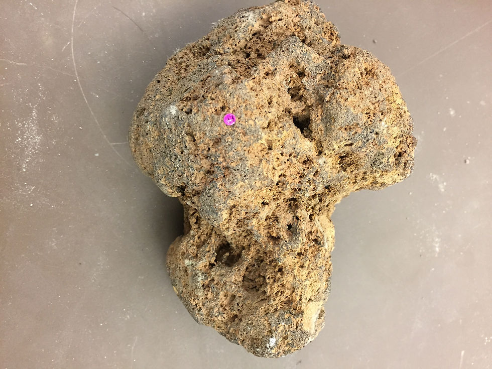 Ash Conglomerate