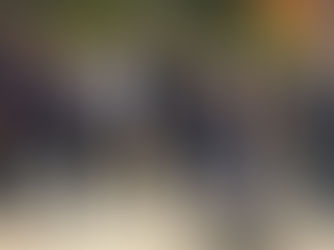 MOSTRA AL FESTIVAL PUCCINIANO 