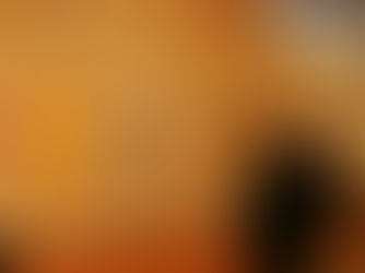 COLORS OF PEACE A FIRENZE