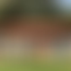 The Virginia Tech Concrete Canoe Team