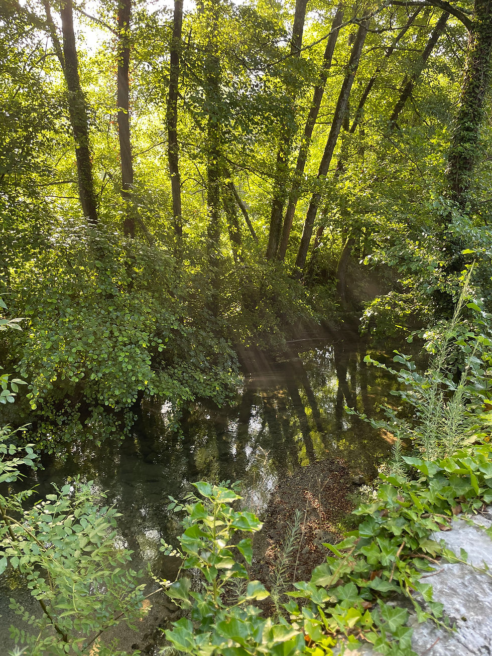 river Vidourle