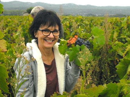 Vive les Vendanges