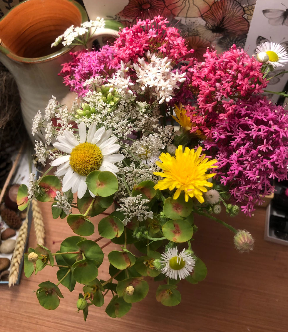Wildflower bouquet from along the road...love the colors and textures
