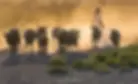 ree