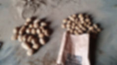 20190927_131344.jpg
