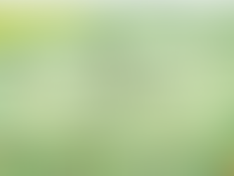 Why North Carolina Businesses Are Upgrading Their Cleaning Standards in 2026