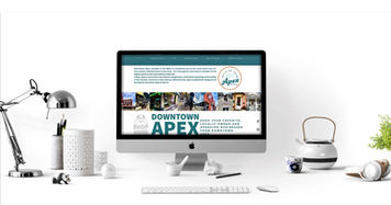 The Bowerbird Agency designs websites for small businesses and non-profit organizations