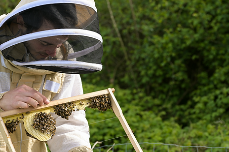 apiculture image de moi.png