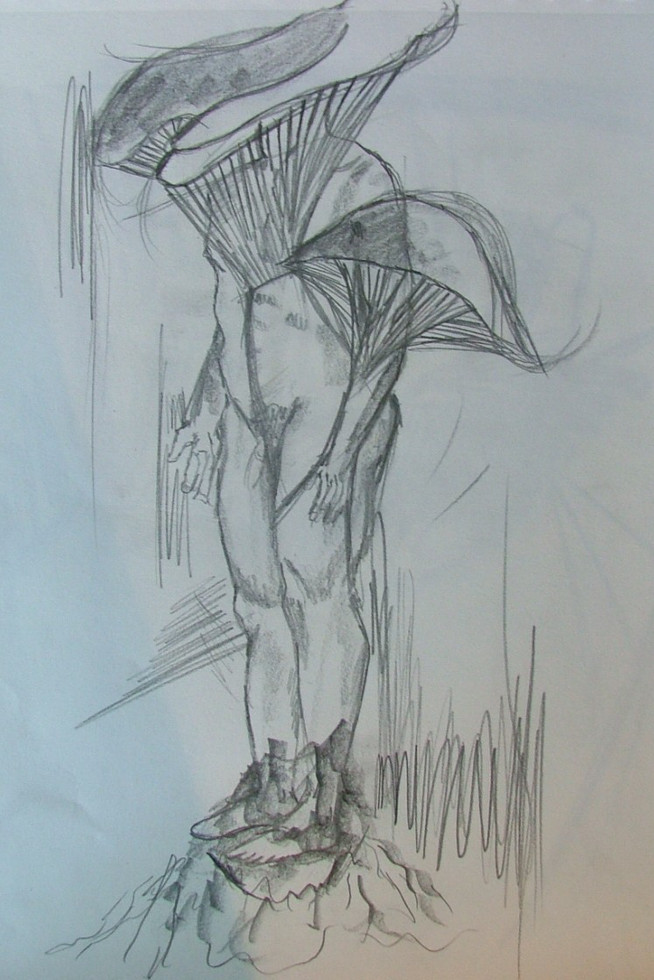 Homme champignon n°16