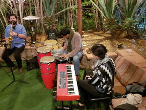 Trio of musicians playing in front of hostel