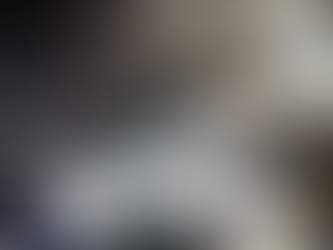 Tony Hawk Pro Skater 1 & 2 Gaming PC