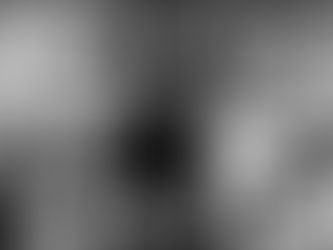 11ème webinaire du SSI France : la recherche des origines