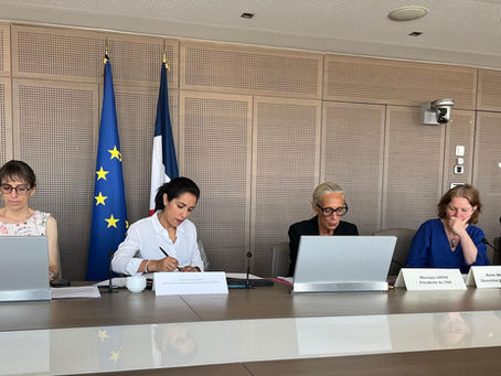 Le SSI France à la plénière du Conseil national de l’adoption (CNA)