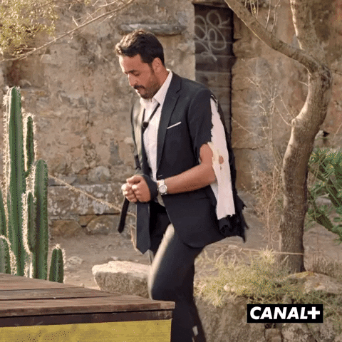Dance Reaction GIF by CANAL+.gif